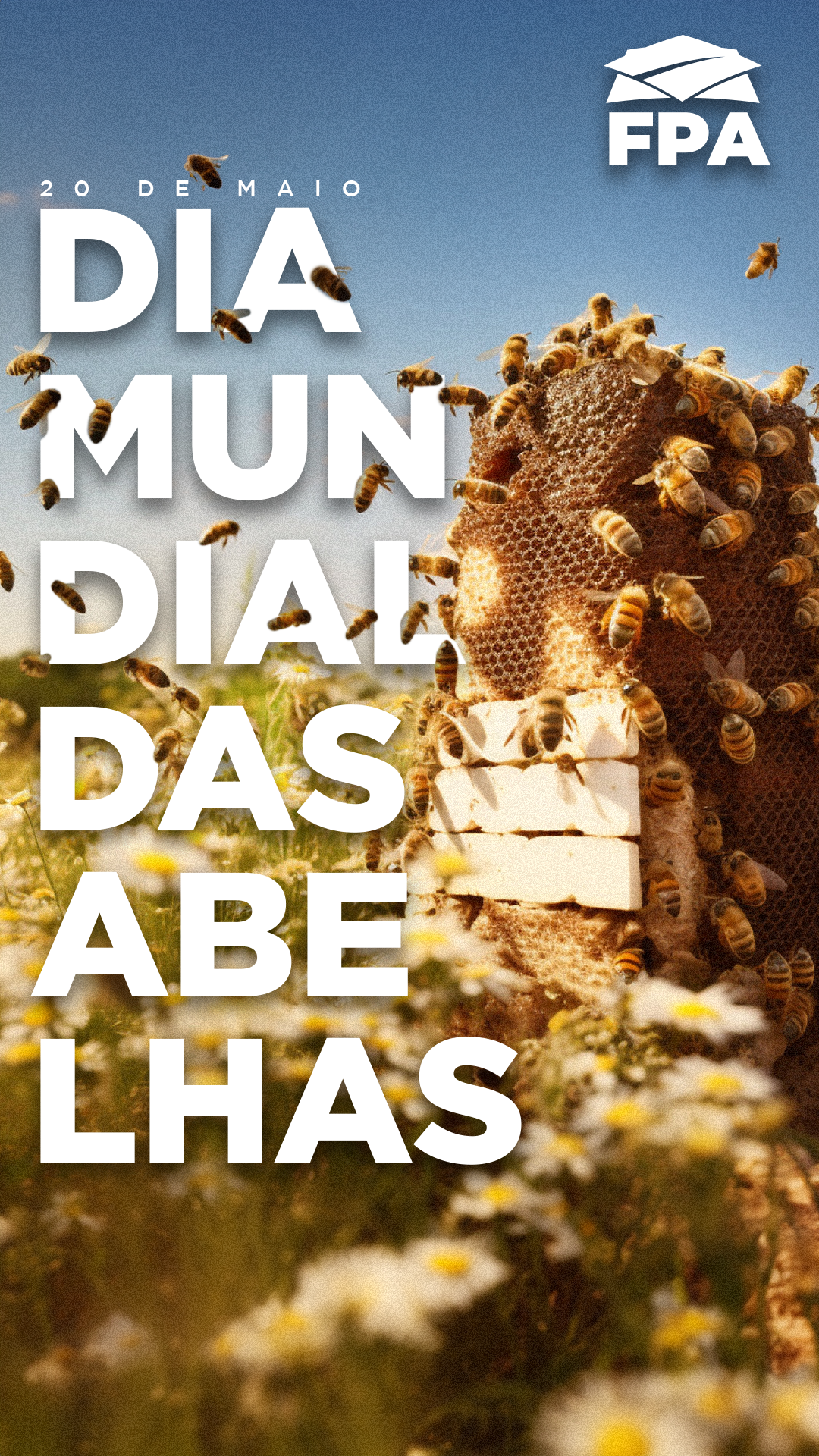 Arte FPA para o Dia Mundial das Abelhas