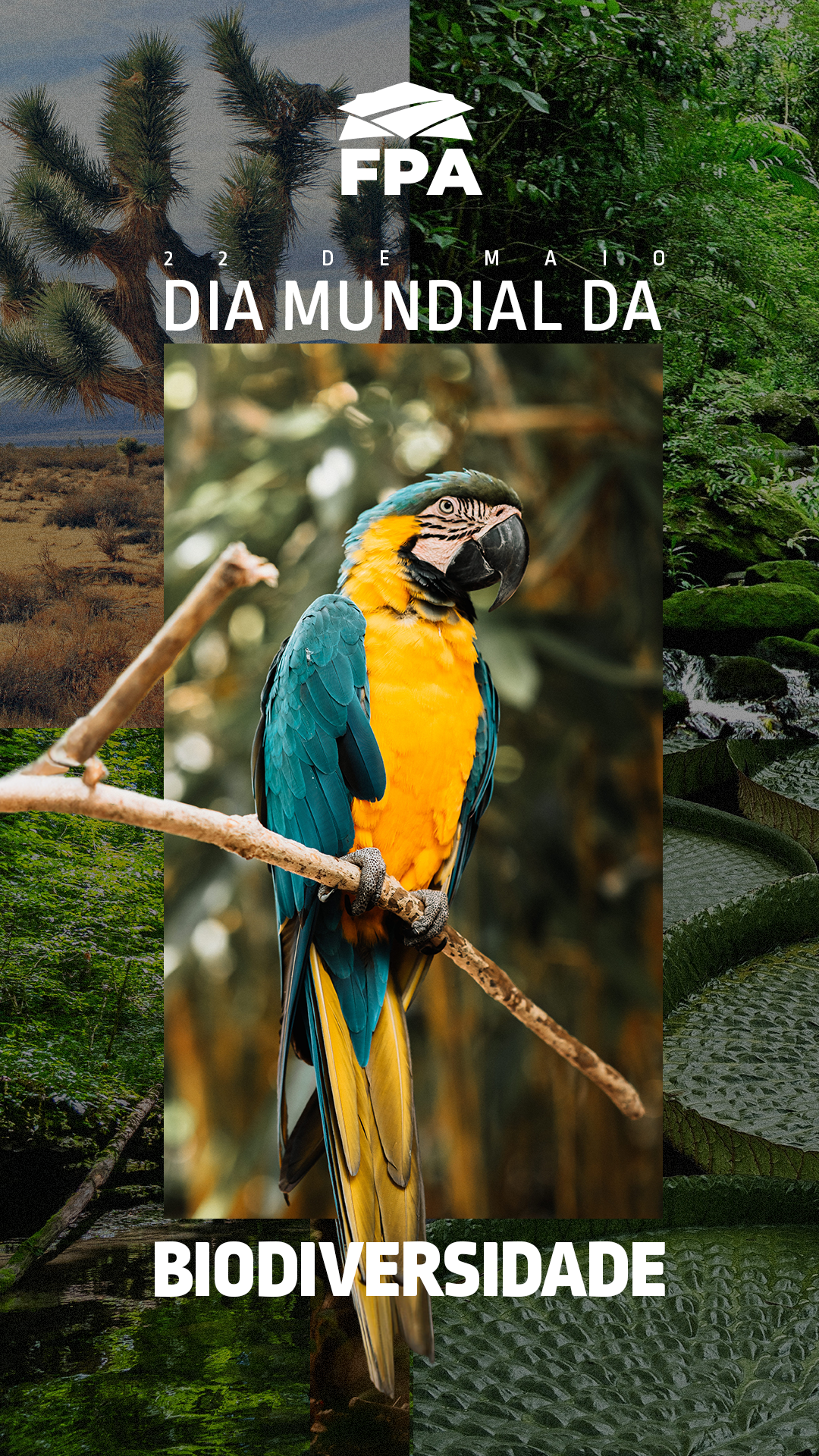 Arte FPA para o Dia Mundial da Biodiversidade
